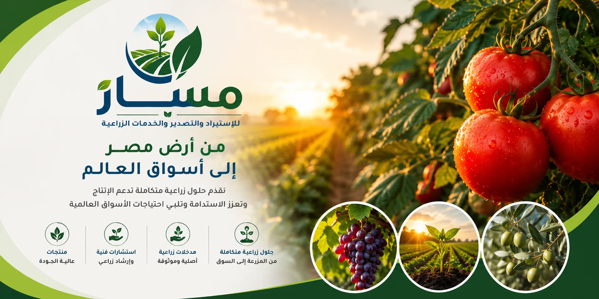 استيراد وتصدير أسمدة ومبيدات مسار